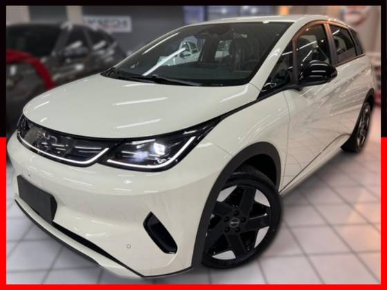 BYD DOLPHIN 45,1 KW ELÉTRICO SE